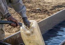 Groundwater could help kickstart green recovery in African countries