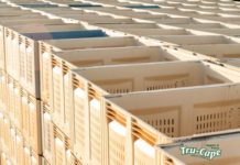 50 fruit-industry terms to know