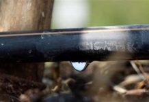 Water conservation at the heart of Westfalia’s sustainability strategy