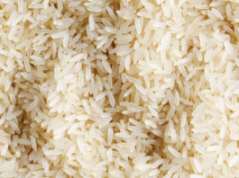 Researchers call for integrated crop development to boost yields, nutrition and climate resilience Kenya to boost rice production in Kisumu, Busia