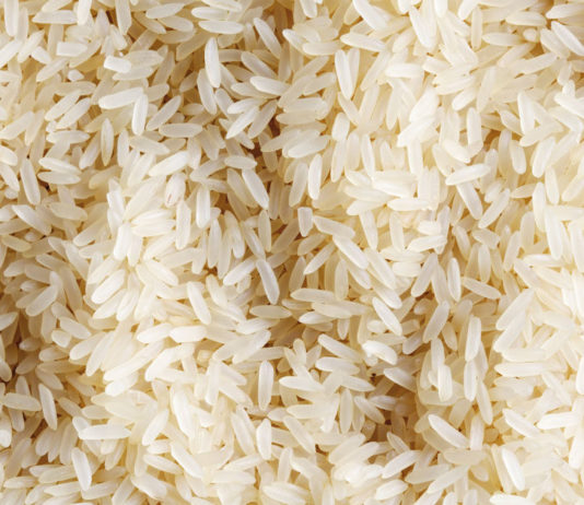 Researchers call for integrated crop development to boost yields, nutrition and climate resilience Kenya to boost rice production in Kisumu, Busia