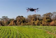 Clariant’s Synergen DRT: taking drone-assisted pest management to new heights