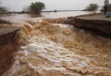 Over 5 000ha of farmland affected, 2 150 heads of livestock lost as heavy rains affect Sudan