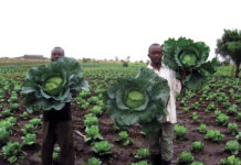 Kenya, DR Congo ink bilateral agreement on cooperation in agriculture Kenya, DR Congo ink bilateral agreement on cooperation in agriculture