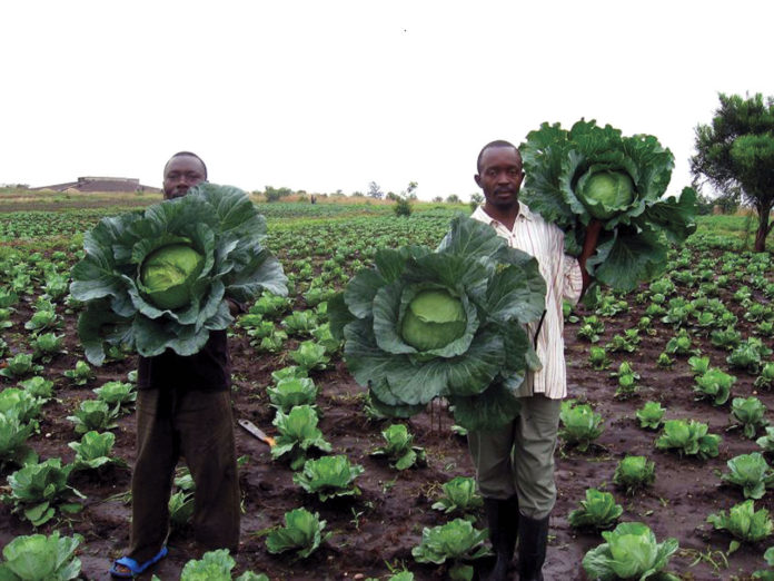 Kenya, DR Congo ink bilateral agreement on cooperation in agriculture