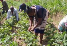 World Bank to fund small holder farmers in Kenya World Bank to fund small holder farmers in Kenya