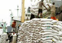 Nigeria, others to import US $110bn worth of food by 2025 Nigeria, others to import US $110bn worth of food by 2025