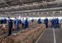 Malawi rakes in US$26m from tobacco sales