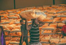 AFEX marks world hunger day by committing to feeding an additional 1M households