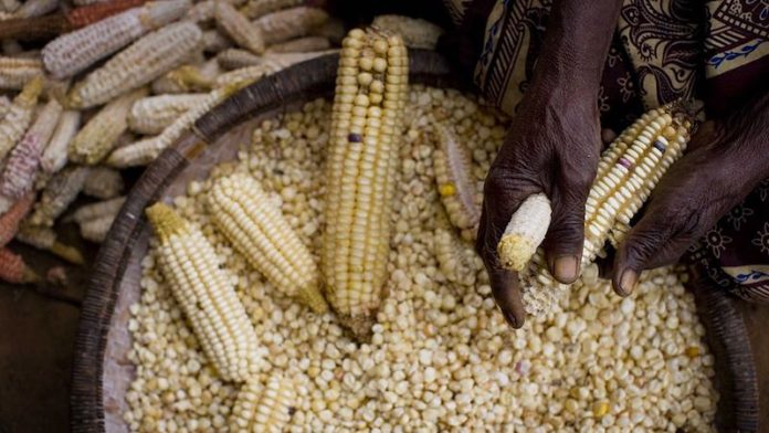 AfDB releases US $1.5bn to tackle food crisis