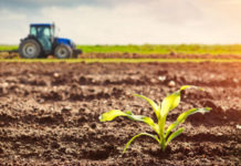 NIRSAL, Moroccan bank seal deal to promote agriculture NIRSAL, Moroccan bank seal deal to promote agriculture