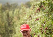 FLASH GALA ™ is the fastest growing new apple variety.