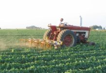 Kenya’s Cabinet gives farming nod on state land sitting idle Kenya’s Cabinet gives farming nod on state land sitting idle