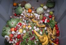 Egypt considers bill regulating food waste Egypt considers bill regulating food waste