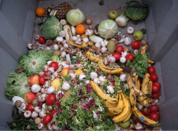 Egypt considers bill regulating food waste