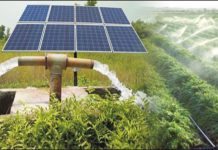 Northern farmers in Ghana adopt solar-powered irrigation system Northern farmers in Ghana adopt solar-powered irrigation system