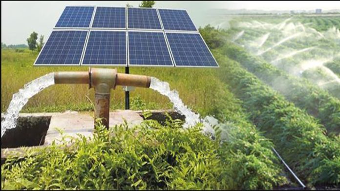 Northern farmers in Ghana adopt solar-powered irrigation system