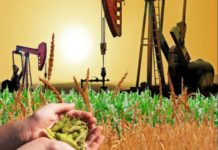 Kenya to replicate India’s agriculture derivative ecosystem Kenya to replicate India's agriculture derivative ecosystem