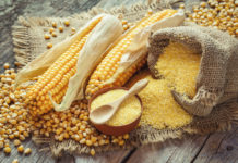 Zimbabwe’s cereal production to decline Zimbabwe's cereal production to decline