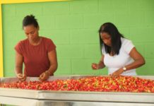 IFAD creates opportunities of employment and economic inclusion for rural youth in the Dominican Republic