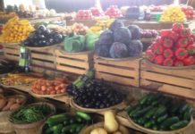 EU, FAO, Govt Tanzania launches National Campaign for healthier diets and good nutrition practices EU, FAO, Govt Tanzania launches National Campaign for healthier diets and good nutrition practices