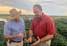 Separating the wheat from the chaff: decision making in a world drowning in data