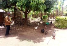 Namibia poultry farmer reaps reward