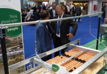 Innovative & sustainability supply chains at VIV Europe