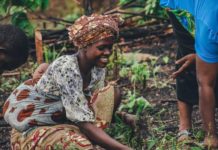 Increasing Efficiency Planting and Harvesting