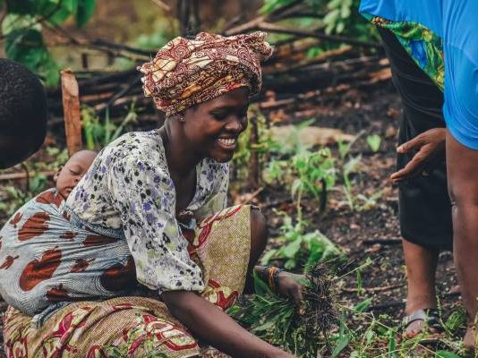 Increasing Efficiency Planting and Harvesting