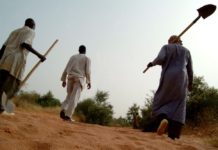 At COP 15, IFAD calls for immediate long-term investments in land restoration and climate resilience to ensure global food security