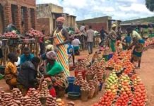 Horticulture for economic rejuvenation