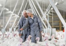 Facing husbandry and farming challenges together