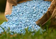 OCP Morocco to establish organic fertilizer Spanish subsidiary OCP Morocco to establish organic fertilizer Spanish subsidiary