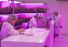 UPL and Kimitec’s MAAVi Innovation Center Announce Strategic Partnership to Commercialize BioSolutions in North America