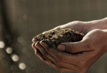 From the ground up: how soil health unlocks greater yields for small-scale farmers