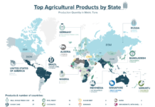 Where Does Our Food Come From? The Largest Agri Producers and Exporters