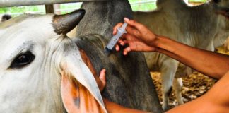 SADC ministers to meet in Zimbabwe over food production, livestock health and fisheries development challenges Kenya’s Garissa County embarks on animal vaccination drive