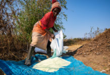 Ghana: Africa Fertilizer Financing Mechanism Extends $2M to ETG Inputs Ghana Limited to Boost Farmers’ Access to Fertilizers