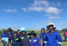 Standard Bank and SAPPI collaborate to create jobs for young South Africans through agriculture initiative