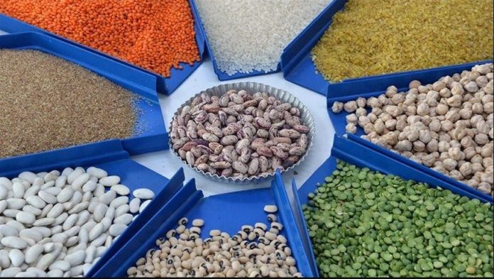 DBN finances agri-enterprises to increase food security