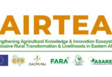Kenya rolls out knowledge innovation for rural transformation Kenya rolls out knowledge innovation for rural transformation