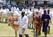 Nakuru, Kenya ready for ASK-trade fair Nakuru, Kenya ready for ASK-trade fair