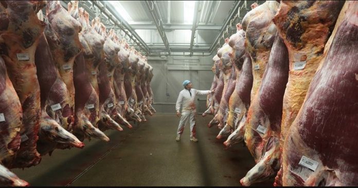 Ethiopia reports rise in earnings from meat export