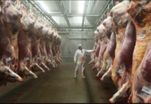 Ethiopia reports rise in earnings from meat export Ethiopia reports rise in earnings from meat export