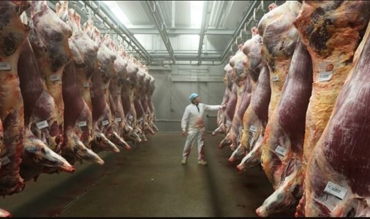 South Africa extends UAE red meat export registration deadline to December 2026 Ethiopia reports rise in earnings from meat export