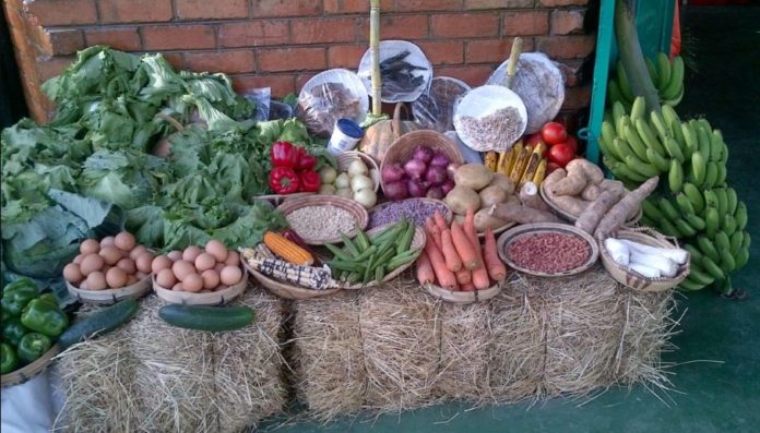 Zimbabwe to participate in Zambia Agricultural and Commercial Show