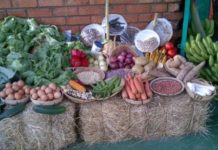 Zimbabwe to participate in Zambia Agricultural and Commercial Show Zimbabwe to participate in Zambia Agricultural and Commercial Show