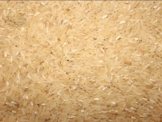 Egypt, Côte d’Ivoire to develop varieties of strategic crops Egypt, Côte d’Ivoire to develop varieties of strategic crops