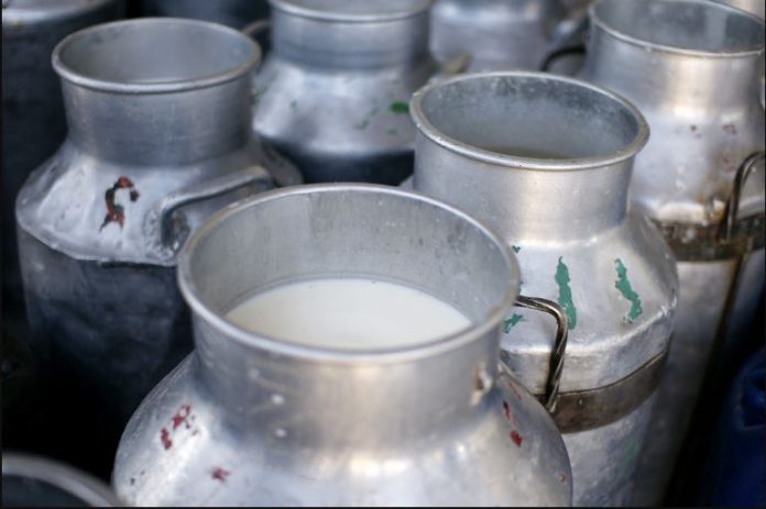 Nakuru in Kenya record an annual milk production of 300 million litres